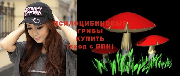 соль ск Бронницы