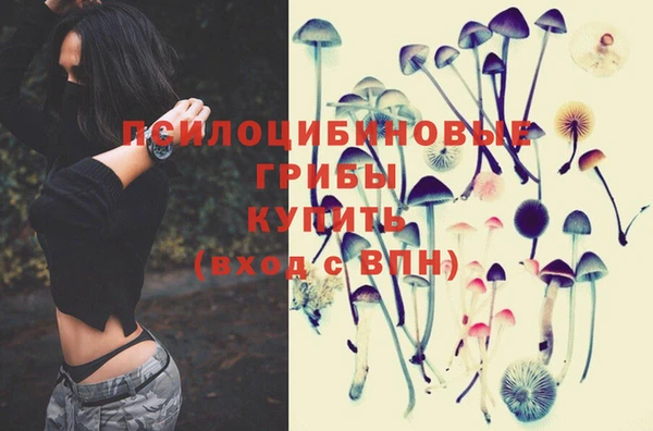 ECSTASY Бугульма