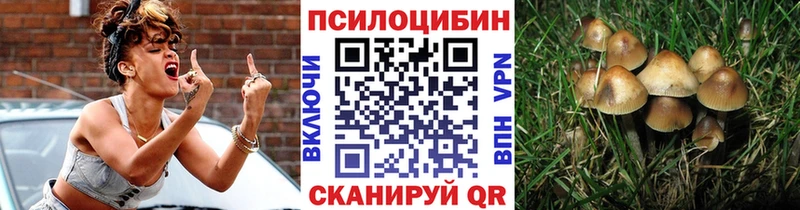 Галлюциногенные грибы GOLDEN TEACHER ОМГ ОМГ зеркало Мегион